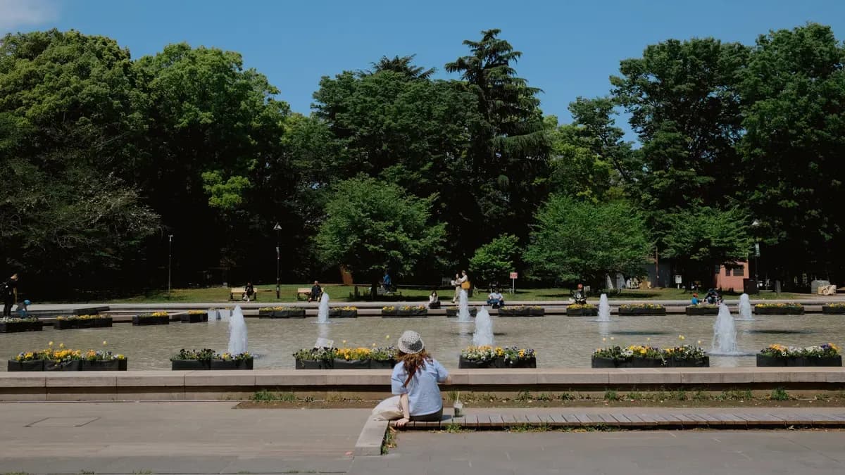 Городской фонтан летом в солнечный день